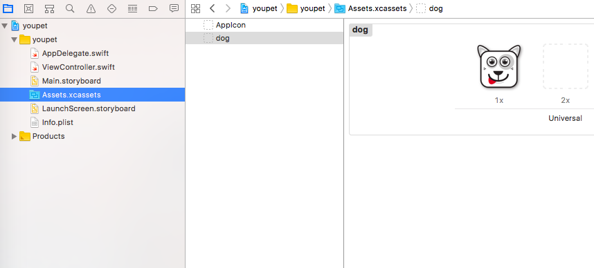 xcassets-import-img.png