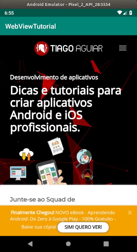 tiagoaguiarco_webview.jpg