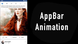 Animando App Bar